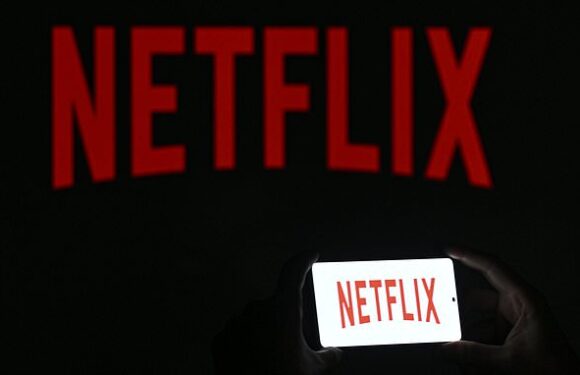 Netflix axe beloved animated comedy series after five seasons
