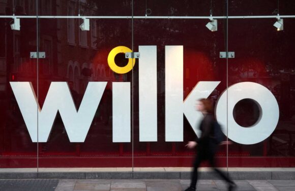 New Wilko deadline TODAY will decide chain's fate as two last-minute bidders compete to rescue stores and workers | The Sun