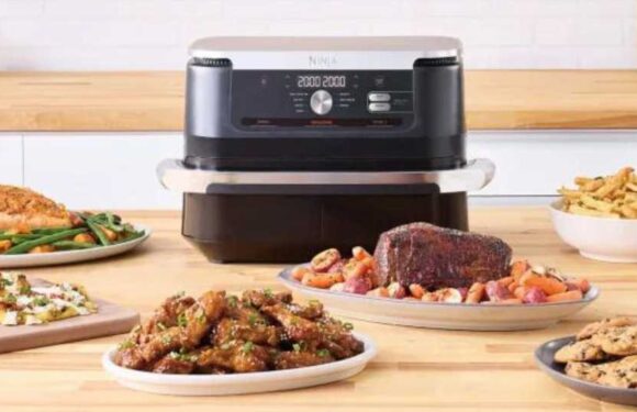 Ninja fans rave about 'game changer' Foodi FlexDrawer air fryer that has 10.4L capacity | The Sun