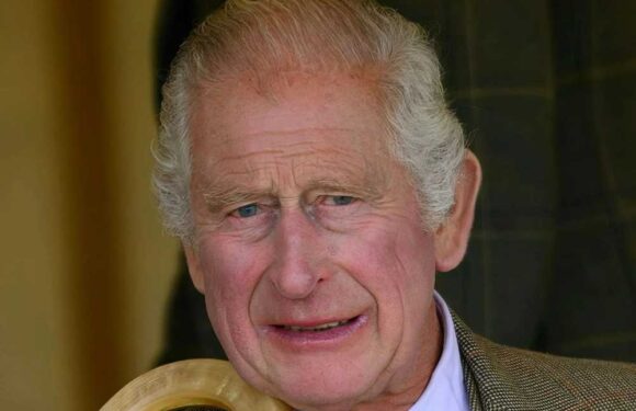 No further action over 'cash for honours' probe involving King Charles' charity The Prince's Foundation | The Sun