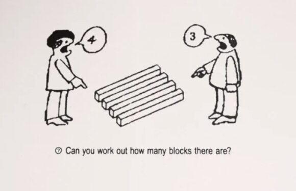 Nobody can agree how many blocks are in this baffling optical illusion
