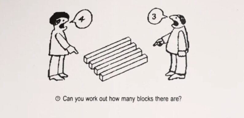 Nobody can agree how many blocks are in this baffling optical illusion