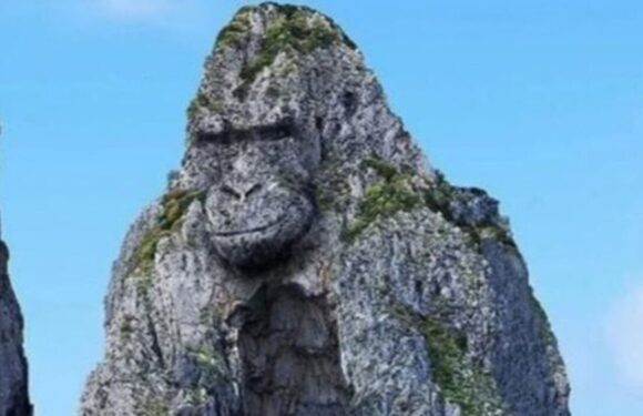 Noticing hidden detail in optical illusion could mean you live ‘in the present’