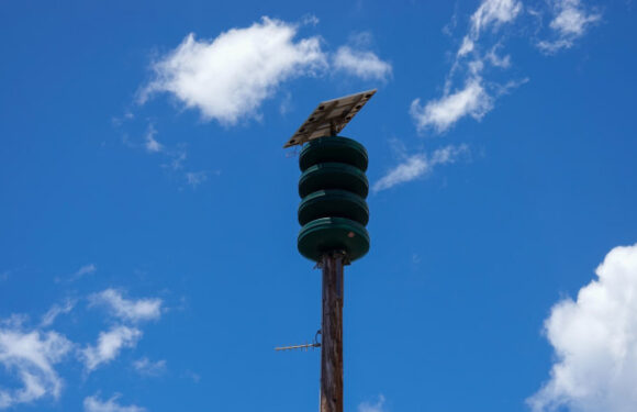 Officials defend decision not to sound sirens during Maui fires