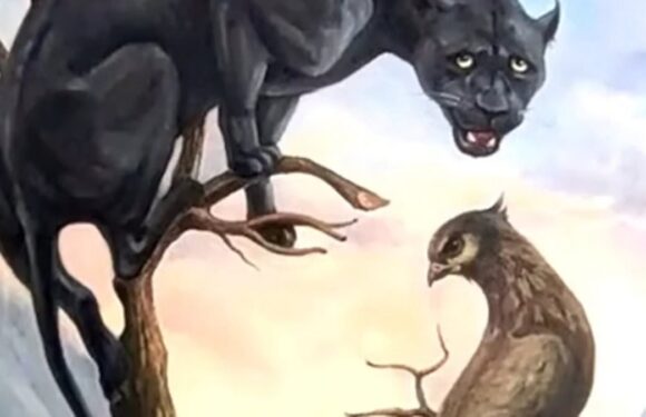 Optical illusion reveals if you're someone who likes to be in control