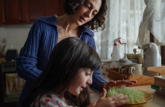 Oscars: Australia Submits Sundance Prize Winner ‘Shayda’ For Best International Feature Race