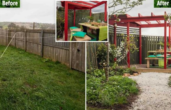 Our drab garden was transformed into a total paradise with fold down fence – and best of all it was totally free | The Sun