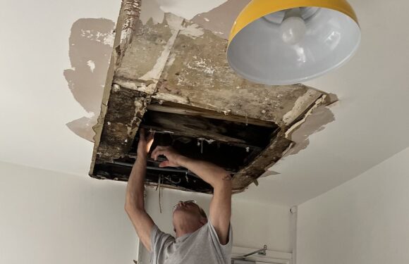 Our move to London was a disaster as our kitchen ceiling collapsed