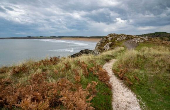 Our picturesque seaside town is being ruined by tourists – now we’re building huge barriers to stop them dumping rubbish | The Sun