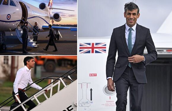 PM has used RAF aircraft for domestic flights once every eight days
