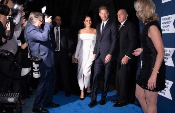 Page Six: The Sussexes ‘have a lot of logs in the fire. Production is one piece of the pie’