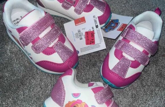 Parents are racing to Primark where you can nab comfy Paw Patrol kids' shoes for £1 – and they're perfect for nursery | The Sun