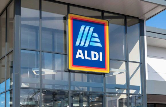 Parents race to Aldi as a £2.99 kids' staple starts scanning for just 49p at the tills | The Sun