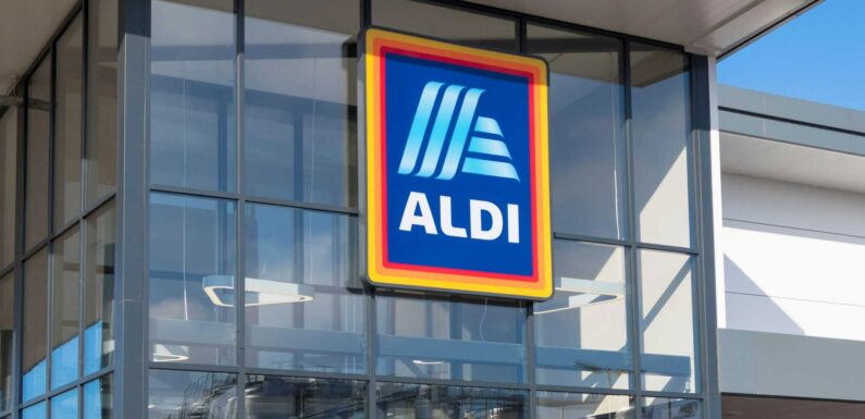 Parents race to Aldi as a £2.99 kids' staple starts scanning for just 49p at the tills | The Sun