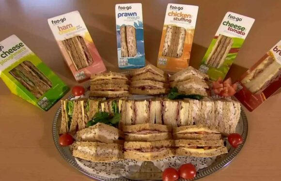People are only just realising how pre-packaged sandwiches are really made and they say they've been put off for life | The Sun