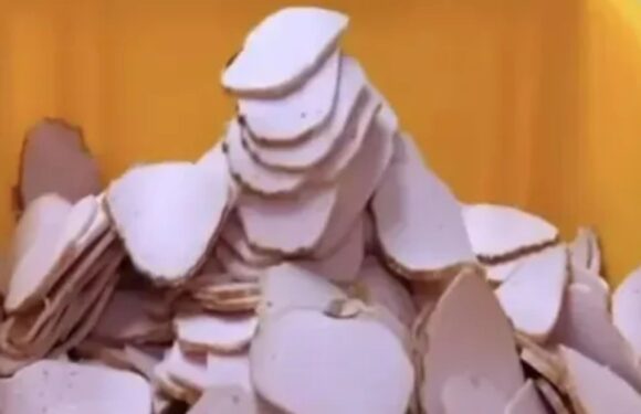 People are only just realising the truth about how sliced ham is really made & it’s making them gag | The Sun