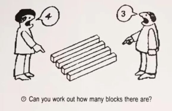 People have been left scratching their heads as they struggle to work out how many blocks are in this optical illusion | The Sun