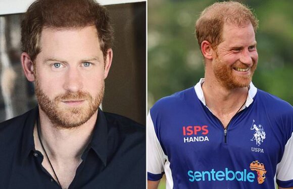 Photo of Prince Harry for mental health start-up shows thick dark hair