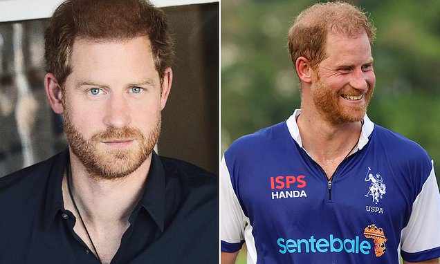 Photo of Prince Harry for mental health start-up shows thick dark hair