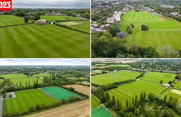 Photos reveal green fields compared to last year
