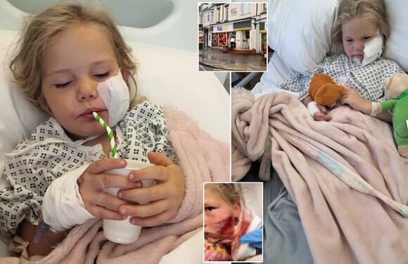 Pictured: Girl, five, had 'half her cheek' bitten off by dog