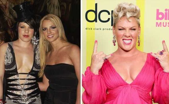 Pink changes Britney Spears lyric to send support during Sam Asghari split