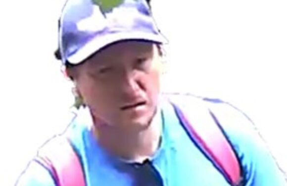 Police urgently hunting potential witness after human placenta discovered in Southampton park | The Sun