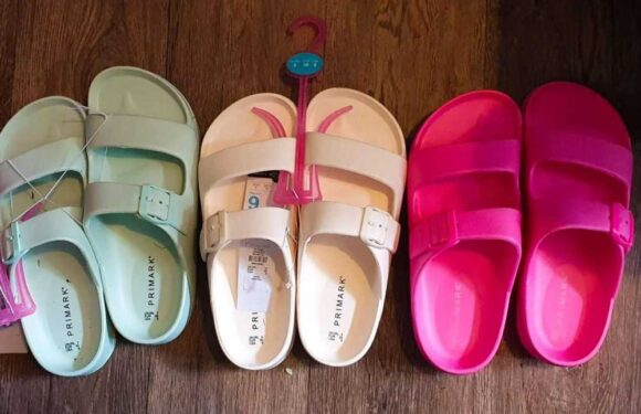 Primark slashes sandals to just £2 but fashion fans are totally divided on whether they’re really a bargain buy | The Sun