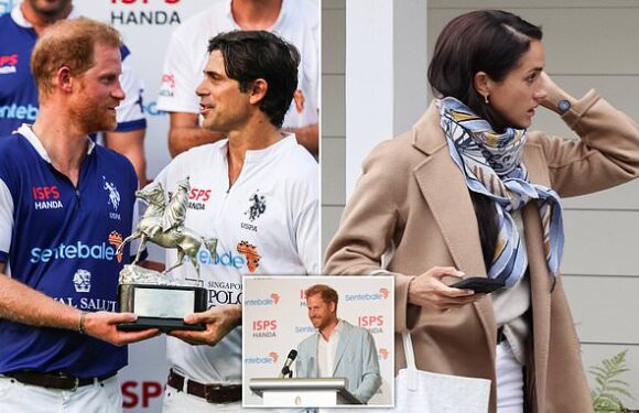 Prince Harry and his friend say they 'miss their wives very much'