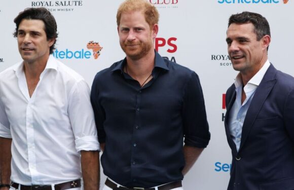 Prince Harry dons £189 suede shoes for polo match in Singapore today