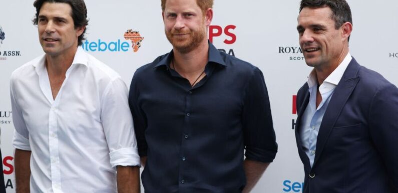 Prince Harry dons £189 suede shoes for polo match in Singapore today
