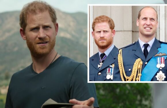 Prince Harry snubs royal role before making dig at family over lack of support