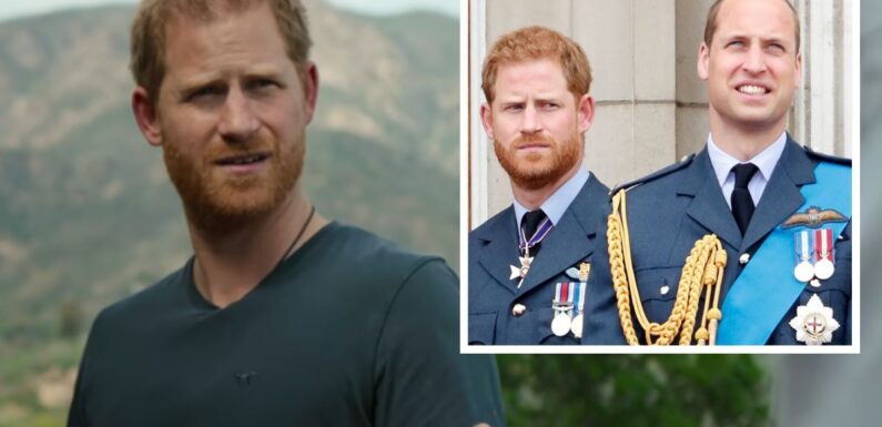 Prince Harry snubs royal role before making dig at family over lack of support
