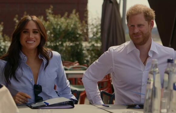 Prince Harry's new Netflix series won't help Brand Sussex, expert says
