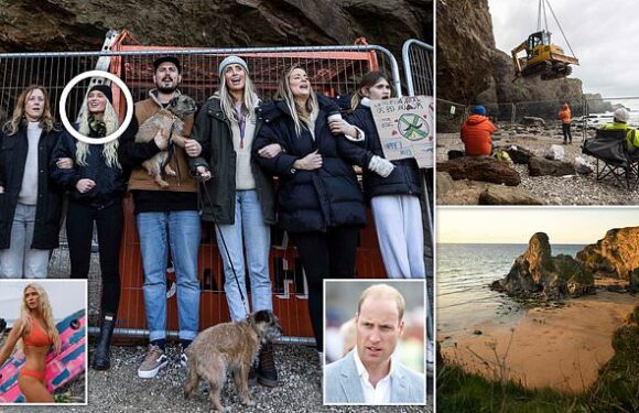 Prince William and Lucie Donlan battle Cornish development