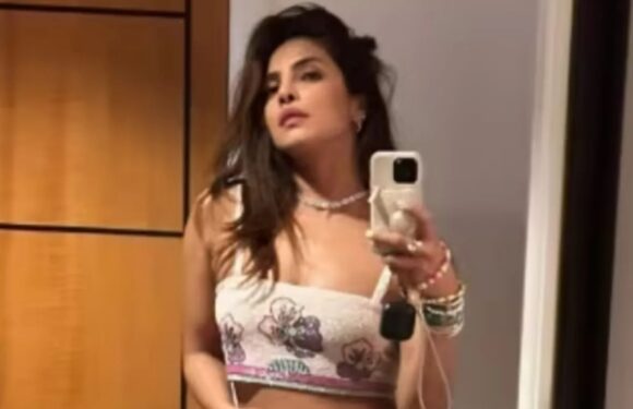 Priyanka Chopra stuns in revealing outfit as she shares backstage snaps at Jonas Brothers concert | The Sun