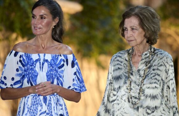Queen Letizia is radiant in £162 blue dress just like one worn by Meghan Markle