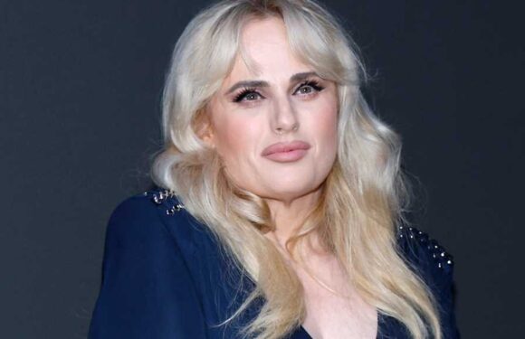 Rebel Wilson Needs Stitches After 'Stunt Accident' Wrapping Filming on Bride Hard