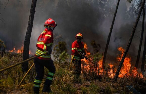 ‘Recipe for disaster’ as EU cuts firefighter jobs despite huge wildfires