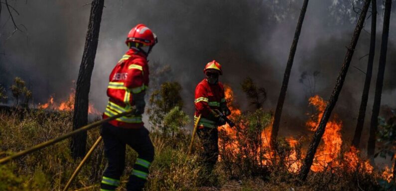 ‘Recipe for disaster’ as EU cuts firefighter jobs despite huge wildfires