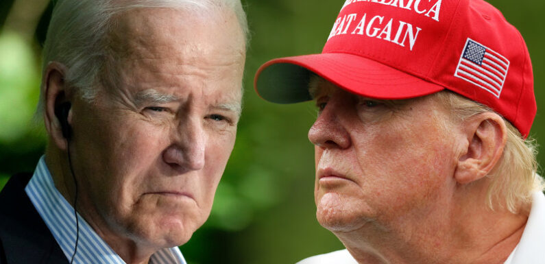 Republicans and Democrats agree on one thing: Biden is too old for office