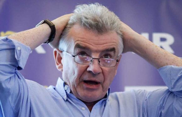Ryanair boss blasts air traffic chaos as No 10 doesn't rule out French airline may be to blame for stranding 200,000 | The Sun