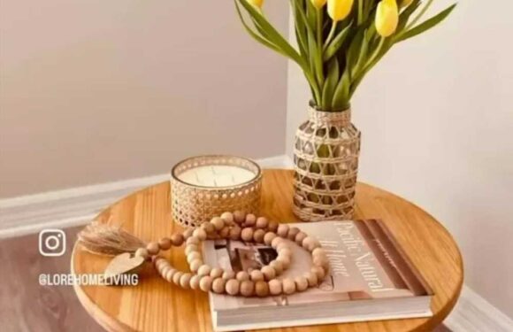 Savvy homeowner shares genius way she turns bargain Ikea basket into a super stylish coffee table, it’s so easy | The Sun