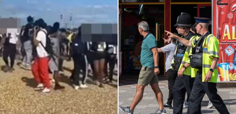 Seaside town descends into chaos as TikTok troublemakers gather to 'cause trouble' after 'looting' Oxford Street | The Sun
