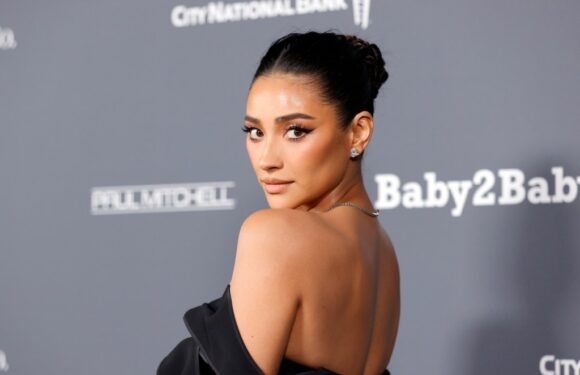 Shay Mitchell Recommends This $8 Wrinkle-Smoothing Tool as a Must-Have for Busy Moms During BTS Season
