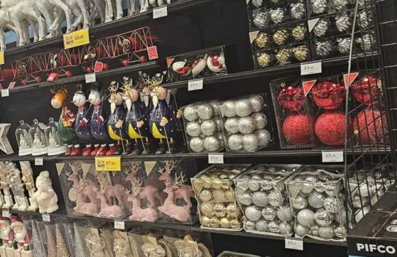 Shoppers are going wild after spotting the Christmas range in Home Bargains four months early – including £3 baubles | The Sun