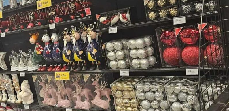Shoppers are going wild after spotting the Christmas range in Home Bargains four months early – including £3 baubles | The Sun