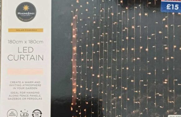 Shoppers are racing to B&M to nab a bargain buy that'll instantly transform their gardens – & it costs just £1 | The Sun