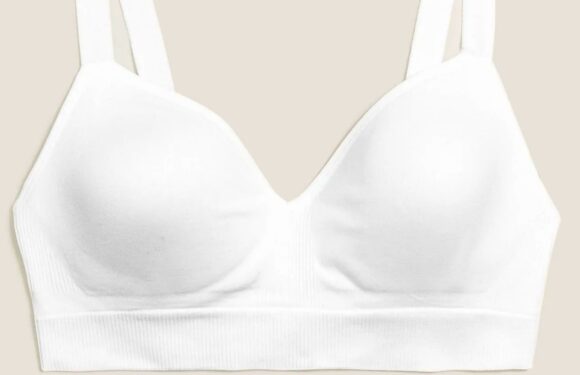 Shoppers are racing to M&S to snap up 'the perfect bra' in the store's mega sale – it's just £6.50 & 'fits like a glove' | The Sun