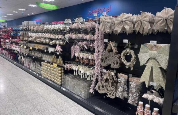 Shoppers left stunned as Home Bargains starts selling CHRISTMAS items, but festive fans are amazed at the deals on offer | The Sun